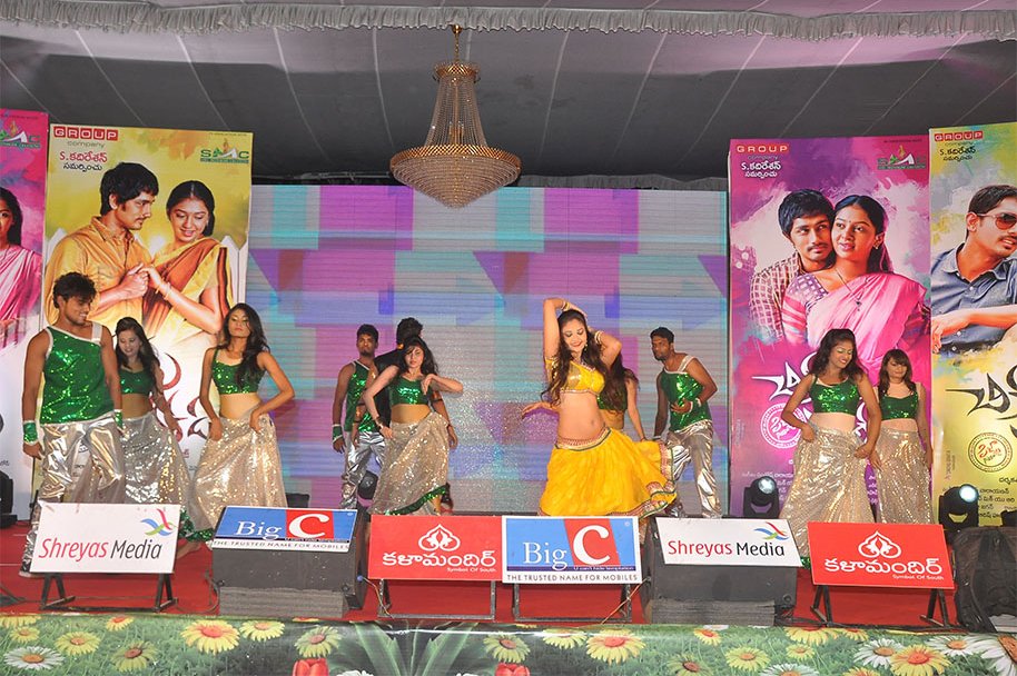 Chikkadu-Dorakadu-Audio-Launch